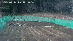 kannonmori-20250409182017.jpg