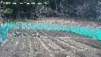 kannonmori-20250410095017.jpg
