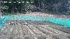 kannonmori-20250410100018.jpg