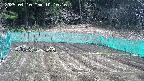 kannonmori-20250410101018.jpg