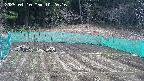 kannonmori-20250410102017.jpg