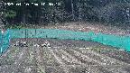 kannonmori-20250410103019.jpg