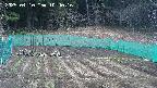 kannonmori-20250410104017.jpg