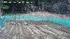 kannonmori-20250410105016.jpg