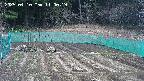 kannonmori-20250410110019.jpg