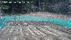 kannonmori-20250410111015.jpg