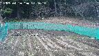 kannonmori-20250410112018.jpg