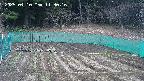 kannonmori-20250410113017.jpg