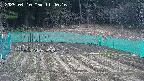 kannonmori-20250410114017.jpg