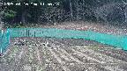 kannonmori-20250410115018.jpg