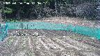 kannonmori-20250410120018.jpg