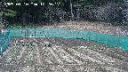 kannonmori-20250410122018.jpg