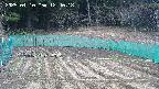 kannonmori-20250410124019.jpg