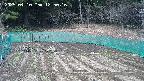 kannonmori-20250410125017.jpg