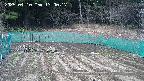 kannonmori-20250410130018.jpg