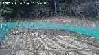 kannonmori-20250410131019.jpg
