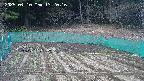 kannonmori-20250410132017.jpg