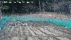 kannonmori-20250410133019.jpg