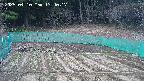 kannonmori-20250410134018.jpg
