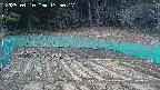 kannonmori-20250410135017.jpg