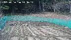 kannonmori-20250410140019.jpg