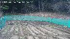 kannonmori-20250410141018.jpg