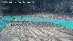 kannonmori-20250410143019.jpg