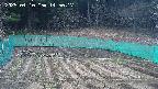 kannonmori-20250410145018.jpg