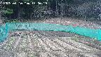 kannonmori-20250410150020.jpg
