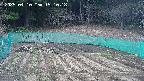 kannonmori-20250410151019.jpg