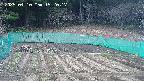 kannonmori-20250410152018.jpg