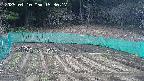 kannonmori-20250410153018.jpg