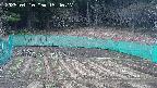 kannonmori-20250410154017.jpg