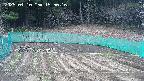 kannonmori-20250410155016.jpg