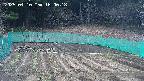 kannonmori-20250410160019.jpg