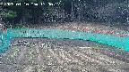 kannonmori-20250410170018.jpg