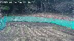 kannonmori-20250410174018.jpg