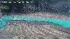 kannonmori-20250410180019.jpg