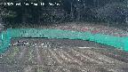 kannonmori-20250410182017.jpg