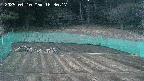 kannonmori-20250410183017.jpg