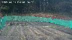 kannonmori-20250411052017.jpg