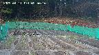 kannonmori-20250411055017.jpg