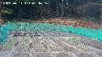 kannonmori-20250411070016.jpg