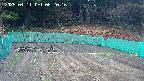kannonmori-20250411082017.jpg