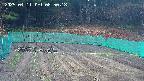 kannonmori-20250411085018.jpg