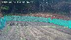 kannonmori-20250411100018.jpg