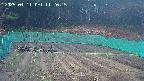 kannonmori-20250411112017.jpg
