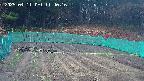 kannonmori-20250411114017.jpg