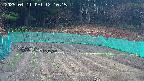 kannonmori-20250411121017.jpg