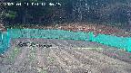 kannonmori-20250411123017.jpg